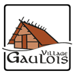Concept de village gaulois