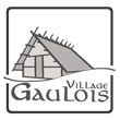 Concept de village gaulois